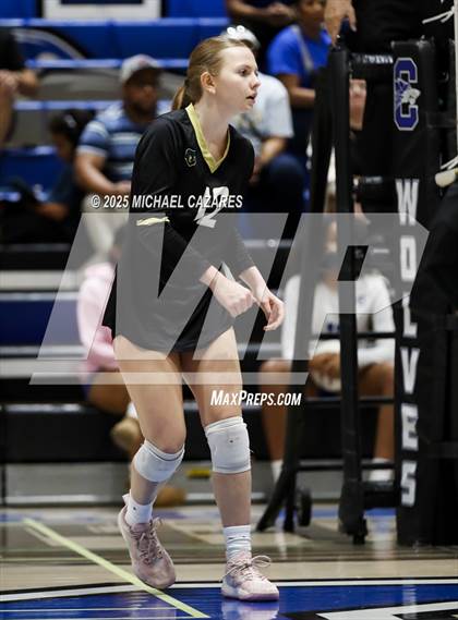 Thumbnail 3 in JV: Basha @ Chandler photogallery.