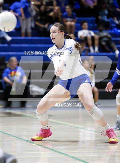 Thumbnail 2 in JV: Basha @ Chandler photogallery.