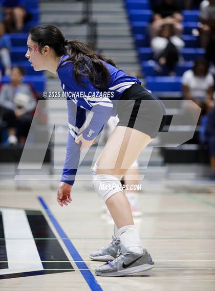 Thumbnail 1 in JV: Basha @ Chandler photogallery.