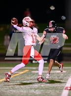 Photo from the gallery "Hilton @ Penfield"