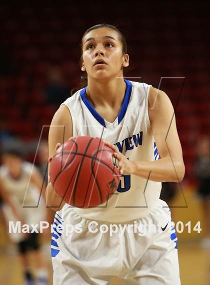 Thumbnail 3 in Hamilton vs. Westview  (AIA D1 Semifinal) photogallery.