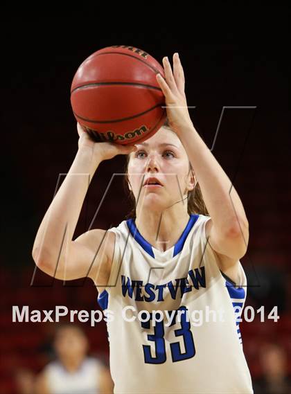 Thumbnail 2 in Hamilton vs. Westview  (AIA D1 Semifinal) photogallery.
