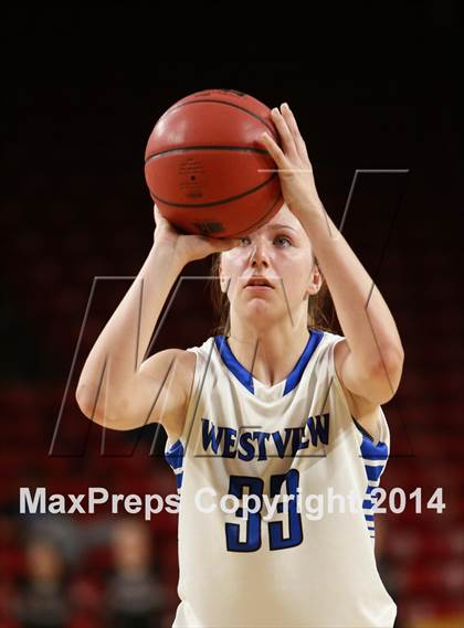 Thumbnail 2 in Hamilton vs. Westview  (AIA D1 Semifinal) photogallery.