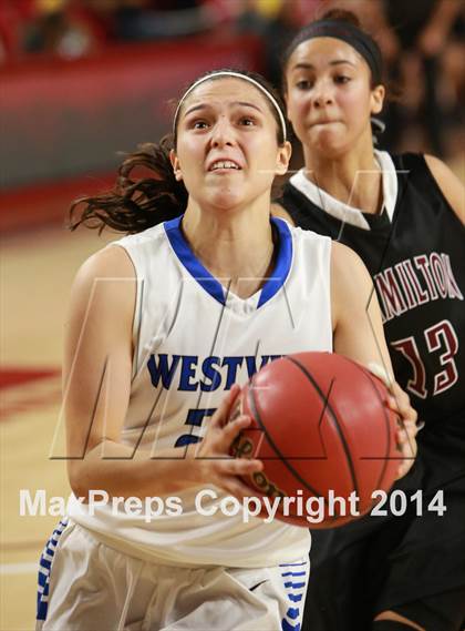 Thumbnail 1 in Hamilton vs. Westview  (AIA D1 Semifinal) photogallery.