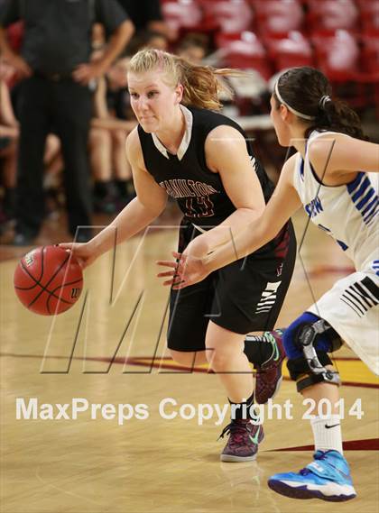Thumbnail 2 in Hamilton vs. Westview  (AIA D1 Semifinal) photogallery.