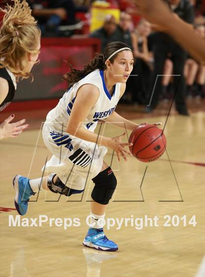 Thumbnail 2 in Hamilton vs. Westview  (AIA D1 Semifinal) photogallery.