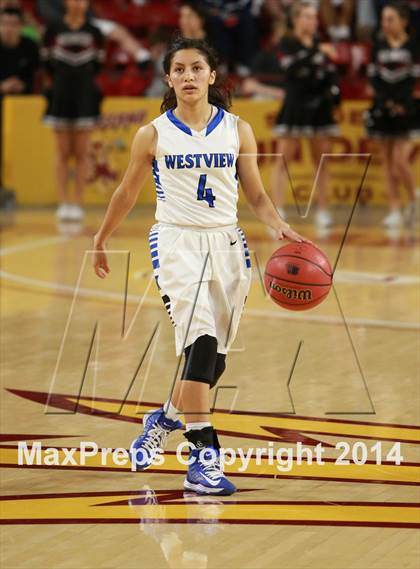 Thumbnail 3 in Hamilton vs. Westview  (AIA D1 Semifinal) photogallery.