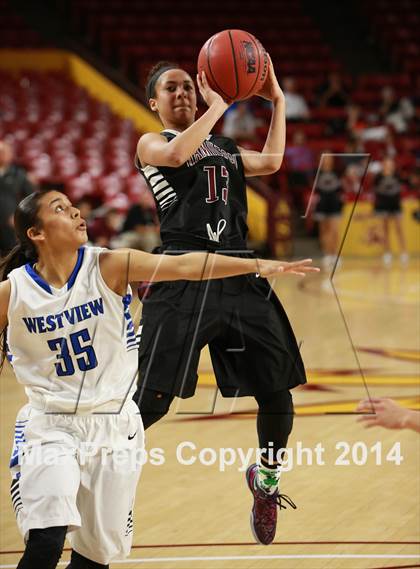 Thumbnail 1 in Hamilton vs. Westview  (AIA D1 Semifinal) photogallery.