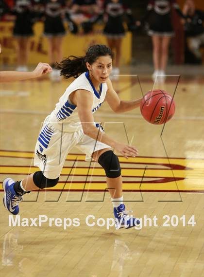 Thumbnail 1 in Hamilton vs. Westview  (AIA D1 Semifinal) photogallery.