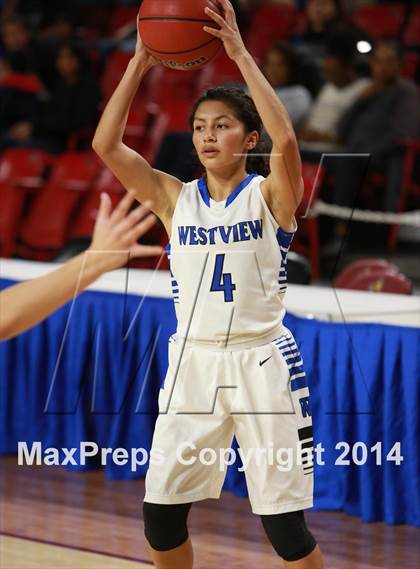 Thumbnail 1 in Hamilton vs. Westview  (AIA D1 Semifinal) photogallery.