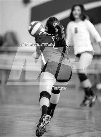 null - Photo 81