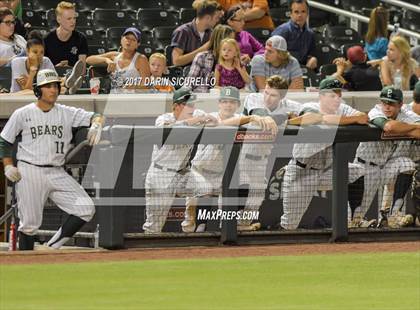 Thumbnail 3 in Perry @ Basha  photogallery.