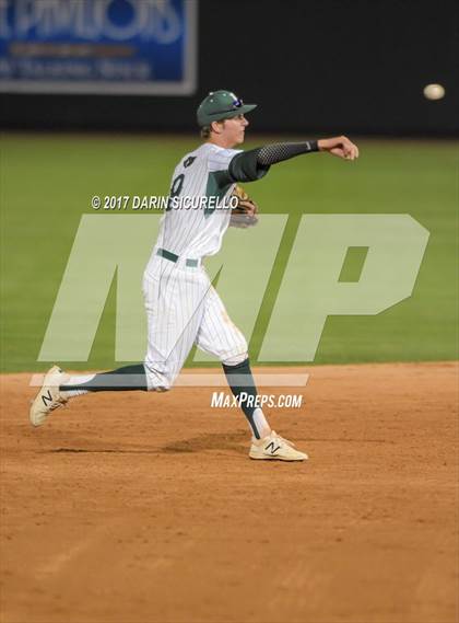 Thumbnail 1 in Perry @ Basha  photogallery.