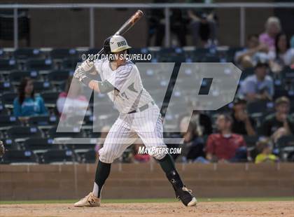 Thumbnail 3 in Perry @ Basha  photogallery.