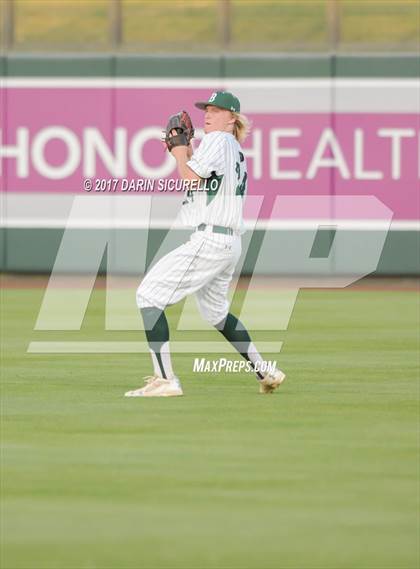 Thumbnail 3 in Perry @ Basha  photogallery.