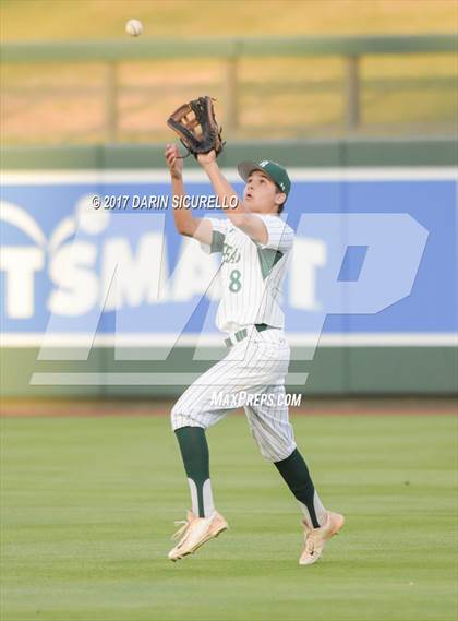 Thumbnail 1 in Perry @ Basha  photogallery.