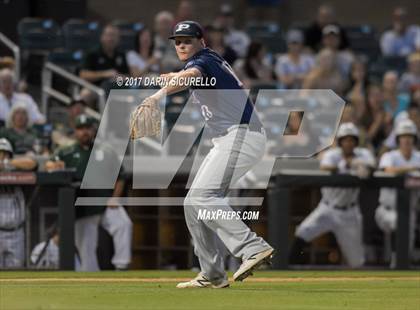 Thumbnail 3 in Perry @ Basha  photogallery.