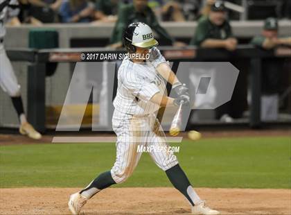 Thumbnail 3 in Perry @ Basha  photogallery.