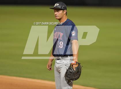 Thumbnail 1 in Perry @ Basha  photogallery.