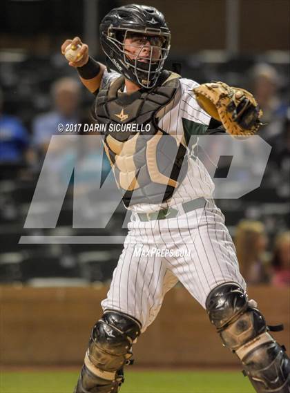 Thumbnail 3 in Perry @ Basha  photogallery.