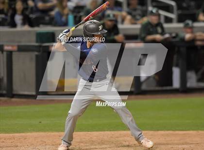 Thumbnail 3 in Perry @ Basha  photogallery.
