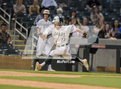 Thumbnail 1 in Perry @ Basha  photogallery.