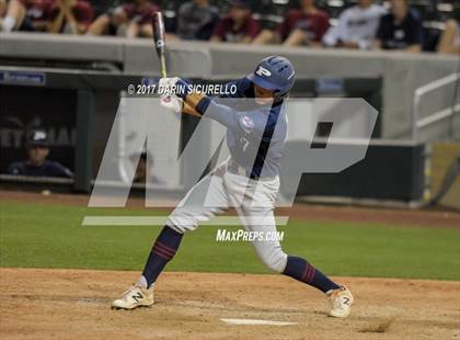 Thumbnail 2 in Perry @ Basha  photogallery.