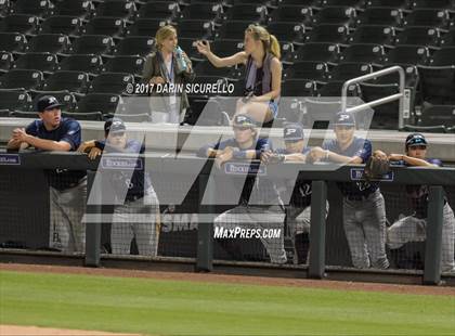 Thumbnail 1 in Perry @ Basha  photogallery.