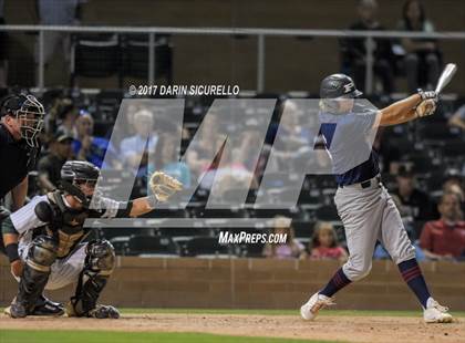 Thumbnail 3 in Perry @ Basha  photogallery.