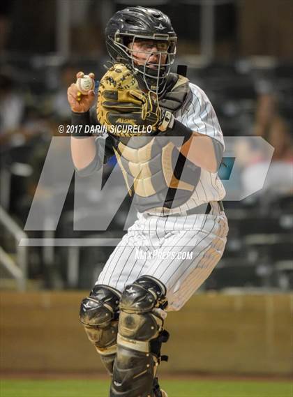Thumbnail 1 in Perry @ Basha  photogallery.