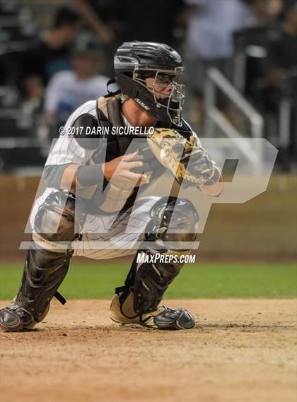 Thumbnail 1 in Perry @ Basha  photogallery.
