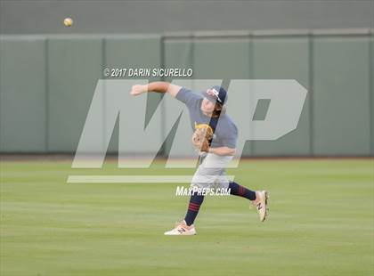 Thumbnail 1 in Perry @ Basha  photogallery.