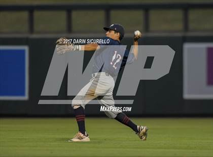 Thumbnail 1 in Perry @ Basha  photogallery.