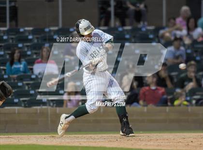 Thumbnail 1 in Perry @ Basha  photogallery.