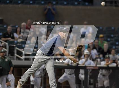 Thumbnail 1 in Perry @ Basha  photogallery.