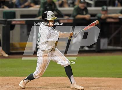 Thumbnail 1 in Perry @ Basha  photogallery.