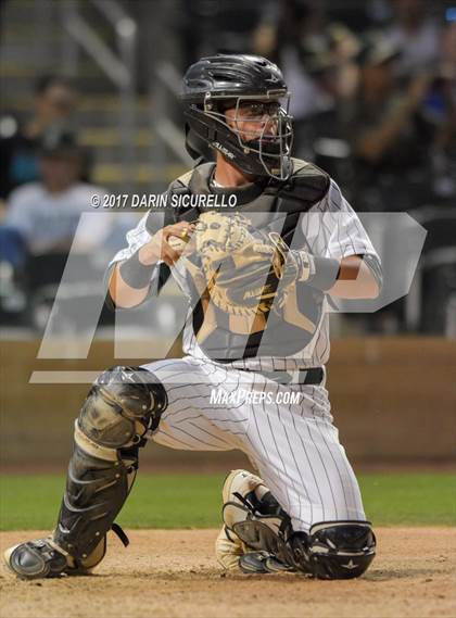 Thumbnail 3 in Perry @ Basha  photogallery.