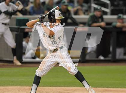 Thumbnail 2 in Perry @ Basha  photogallery.