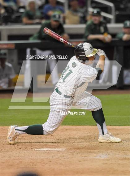 Thumbnail 3 in Perry @ Basha  photogallery.