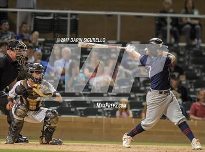 Thumbnail 1 in Perry @ Basha  photogallery.