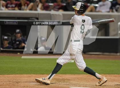 Thumbnail 2 in Perry @ Basha  photogallery.