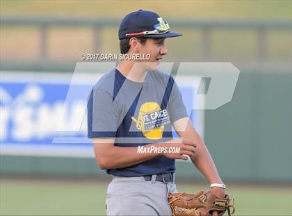 Thumbnail 1 in Perry @ Basha  photogallery.