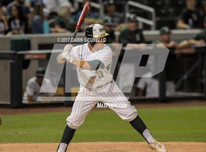 Thumbnail 3 in Perry @ Basha  photogallery.
