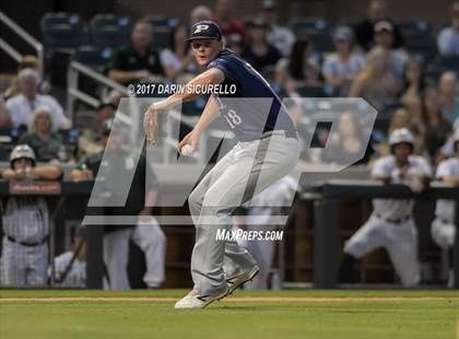 Thumbnail 2 in Perry @ Basha  photogallery.