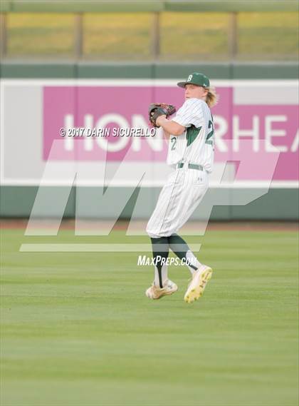 Thumbnail 1 in Perry @ Basha  photogallery.