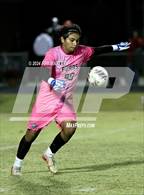 Photo from the gallery "Palisades @ South Mecklenburg"