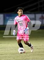 Photo from the gallery "Palisades @ South Mecklenburg"