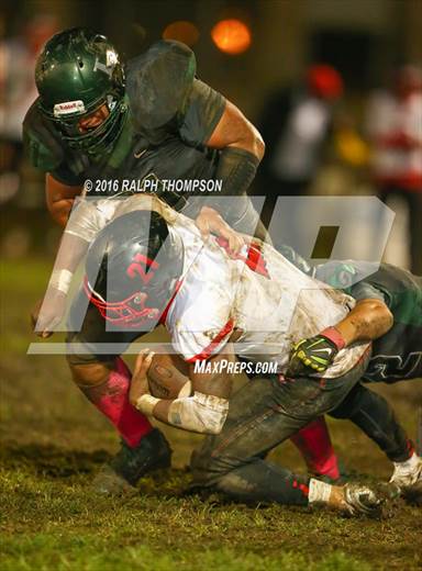 null - Photo 01