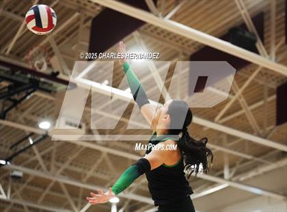 Thumbnail 2 in Rudder @ A&M Consolidated photogallery.