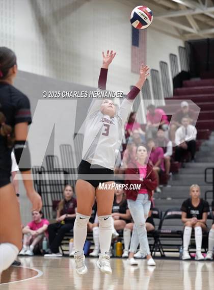 Thumbnail 3 in Rudder @ A&M Consolidated photogallery.